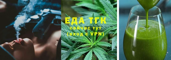 прущие грибы Инта