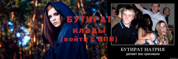прущие грибы Инта