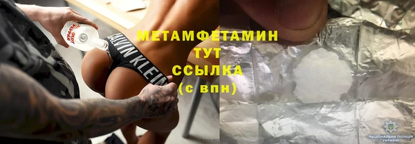 прущие грибы Инта
