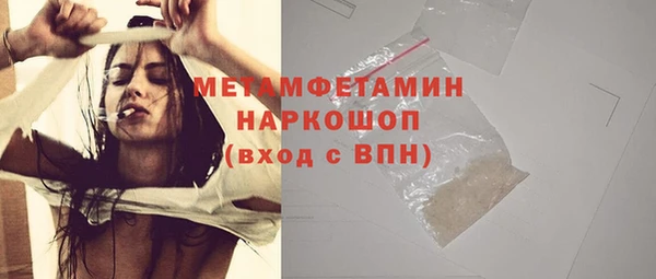 прущие грибы Инта