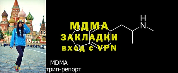 прущие грибы Инта