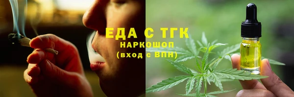 прущие грибы Инта