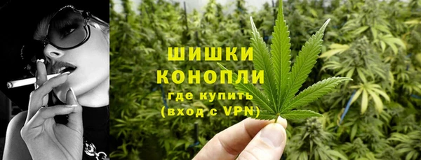 твердый Иннополис