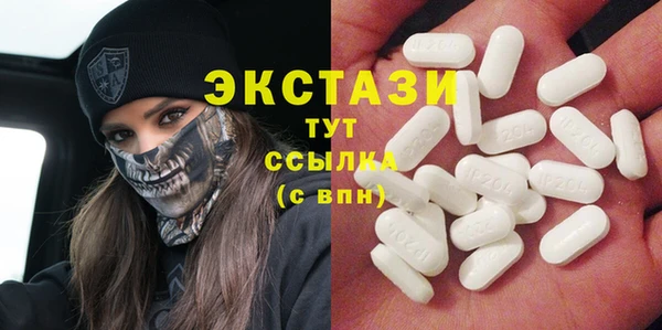 прущие грибы Инта