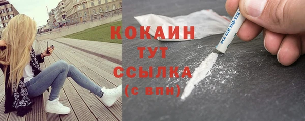 крисы Инсар