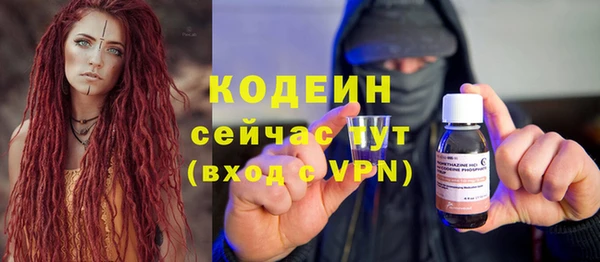 прущие грибы Инта
