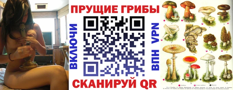 Галлюциногенные грибы ЛСД Купить Почеп