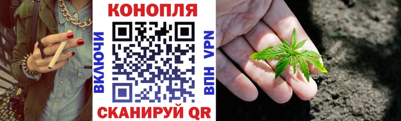 Бошки Шишки гибрид  Купить где  Почеп 